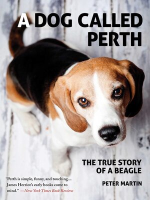 cover image of A Dog Called Perth: the True Story of a Beagle